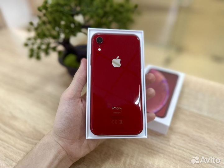 iPhone Xr, 128 ГБ