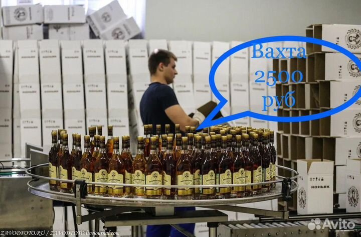 Оператор на линию завод коньяка
