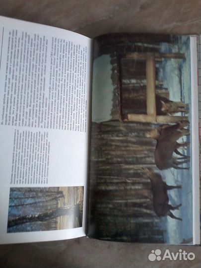 Мир географии(География и географы.Природная среда