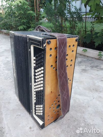 Баян Ростов Дон