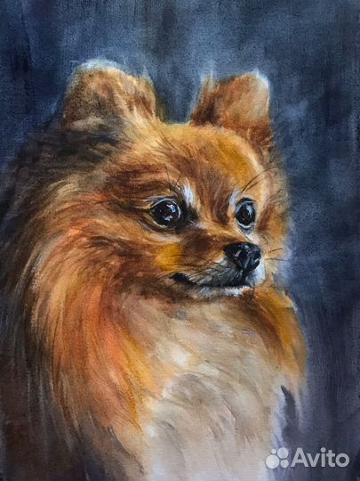 Портрет питомца (собаки или кошки) на заказ