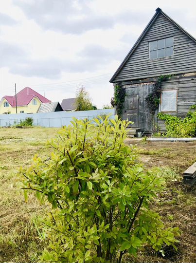 Участок 10 сот. (ИЖС)