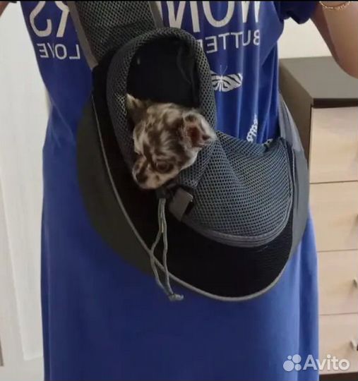 Сумка слинг для собак