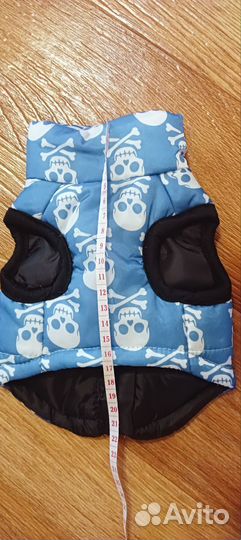 Одежда для собак