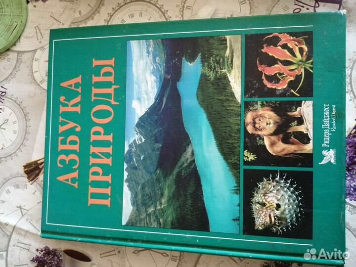 Книга Азбука природы