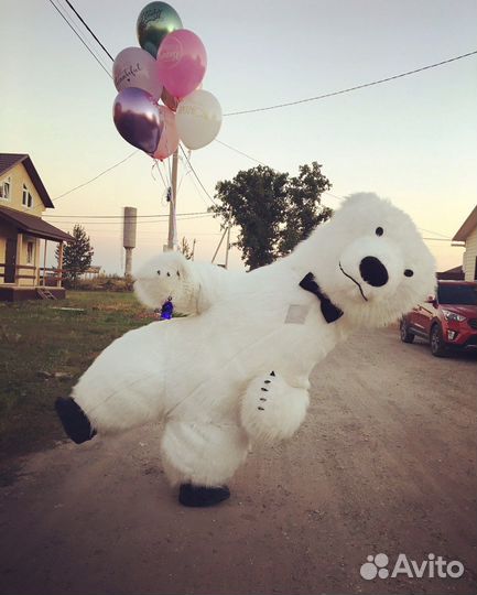 Поздравление Большого Белого Мишки,ростовая кукла