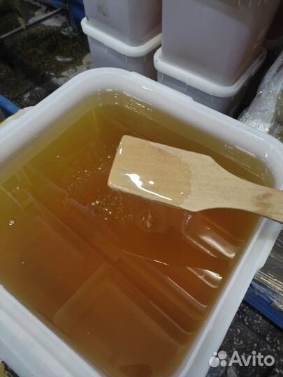 Свежий мёд акация Качка 2023 г опт