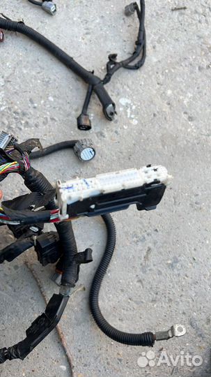 Моторная проводка Ниссан Теана 32 2.5