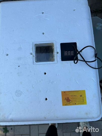 Инкубатор для яиц автоматический бу