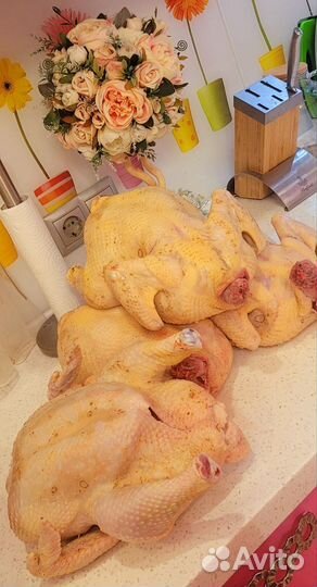 Мясо куры домашние бройлеры