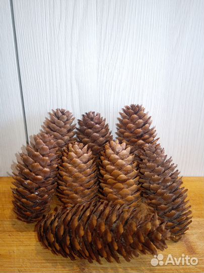 Шишки для декора