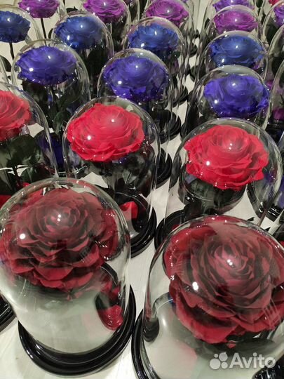 Вечная роза в колбе