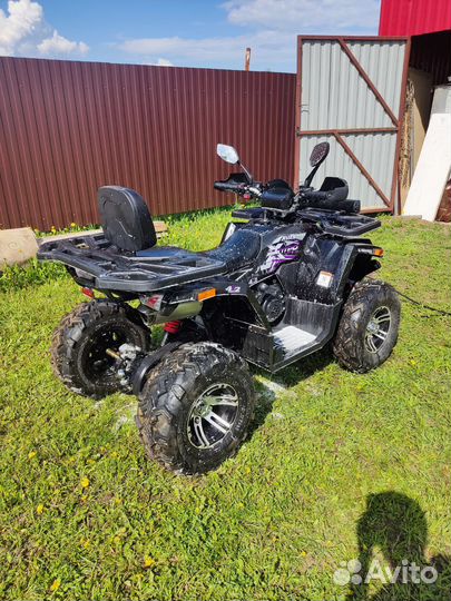 Avantis Hunter 200 BIG Premium