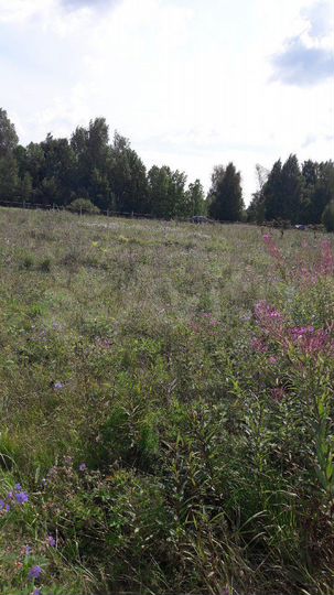 Участок 26 сот. (ИЖС)