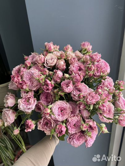 Кустовые розы