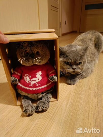 Присмотрю за вашим животным