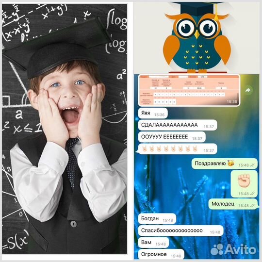 Репетитор по обществознанию и истории огэ/егэ/впр