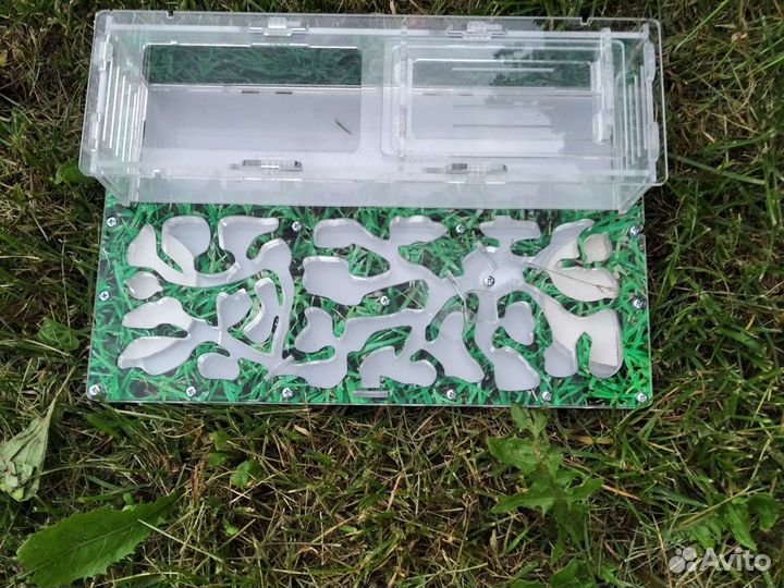 Муравьиная ферма