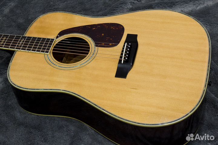 Акустическая гитара Morris TF-60 Массив. Japan