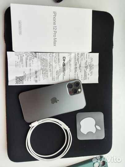 iPhone 12 Pro Max, 256 ГБ
