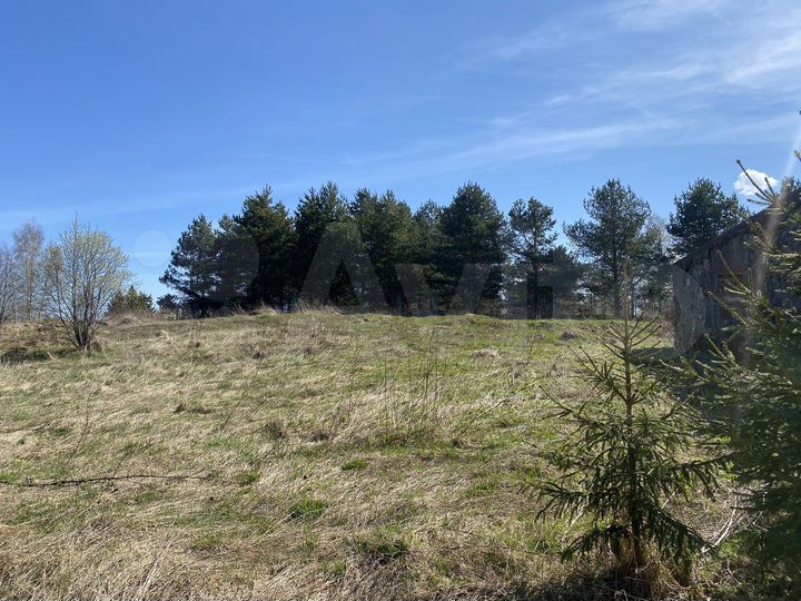 Участок 15 га (ИЖС)