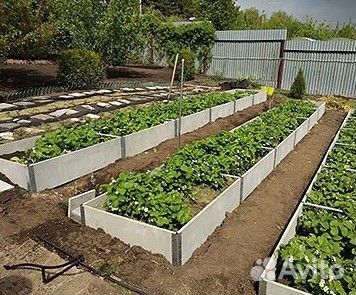 Полосы для грядок из шифера