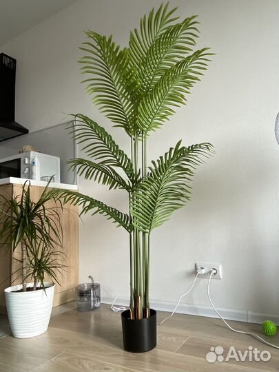 Искусственная пальма бу