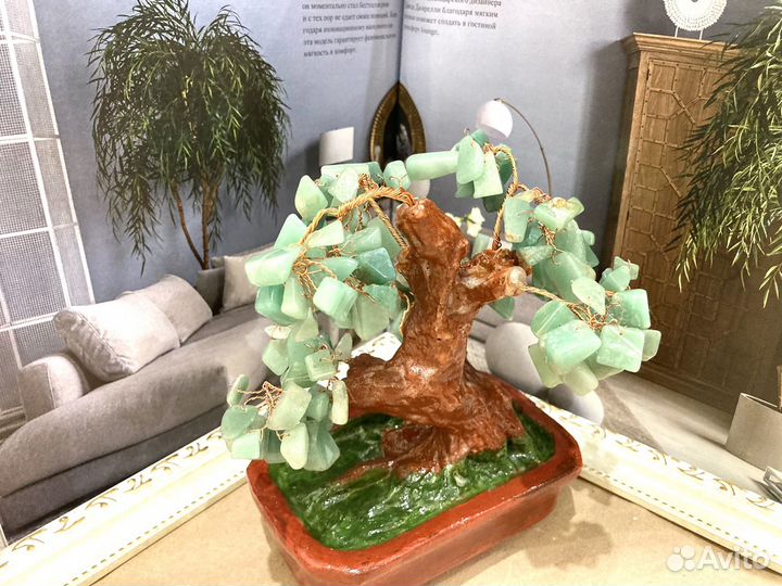 Денежное дерево