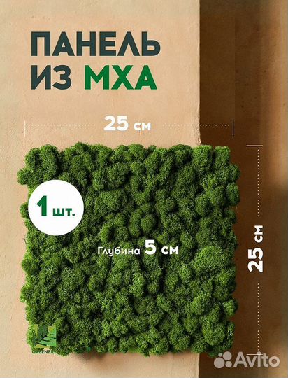 Панно из стабилизированного мха