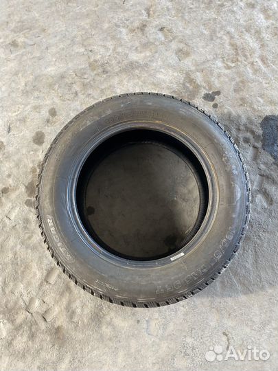 Tigar Ice 195/65 R15