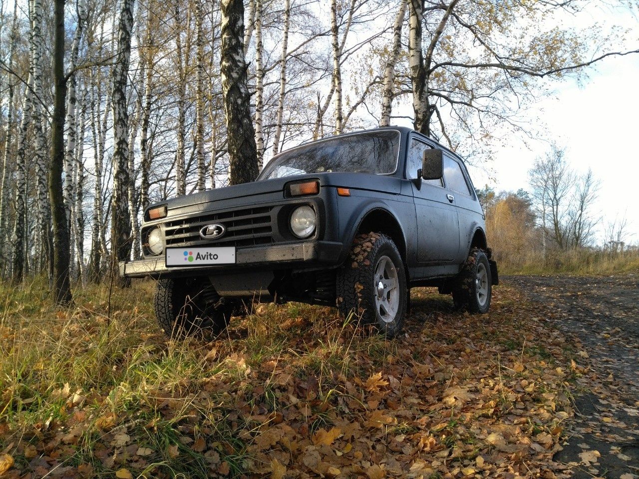 ВАЗ (LADA) 4x4 (Нива): фото владельца