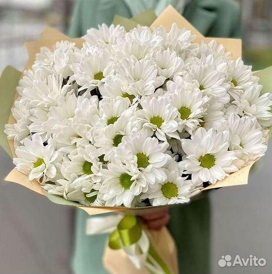 Хризантема. Букеты Цветы доставка