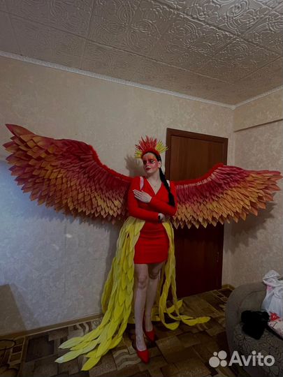 Супер крылья