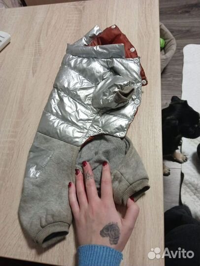 Одежда для собак мелких пород пакетом