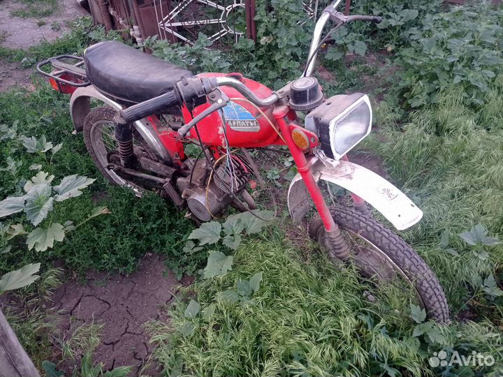 Карпаты спорт