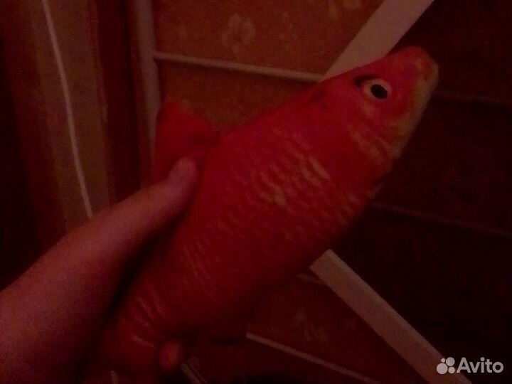 Игрушка для кота