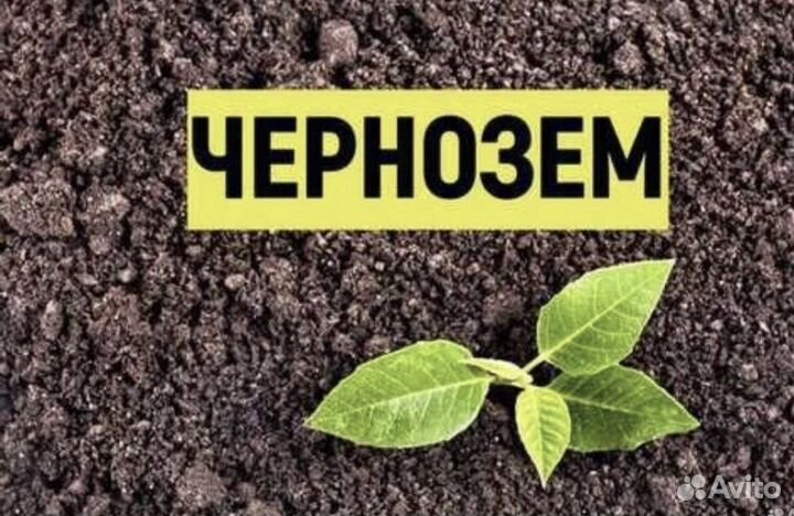 Чернозем / плодородный почва грунт/ суглинок