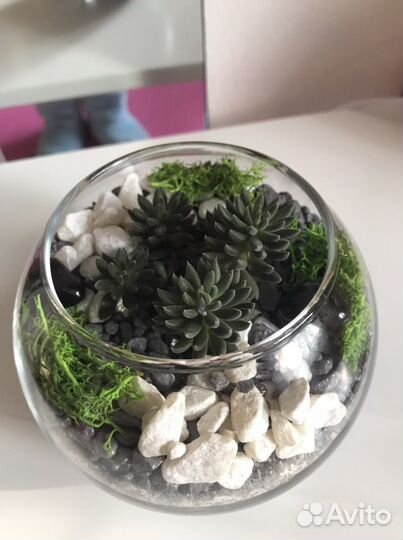 Флорариум суккуленты цветы