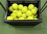 Мячи для большого тенниса бу
