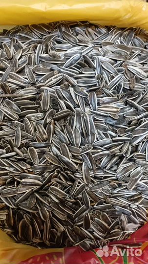 Кондитерская семечка полосатая калиброванная