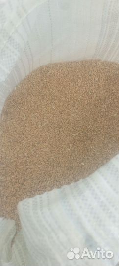 Комбикорм, пшеница, кукуруза для кур несушек