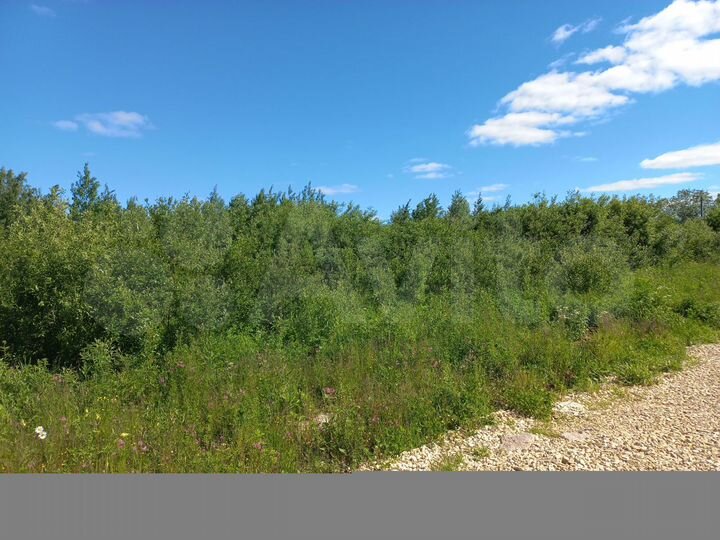 Участок 12 сот. (ИЖС)