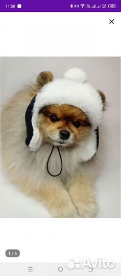 Шапка для собак мелких пород