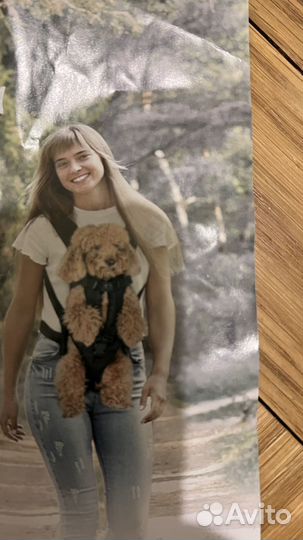 Рюкзаки для собак до 15 кг