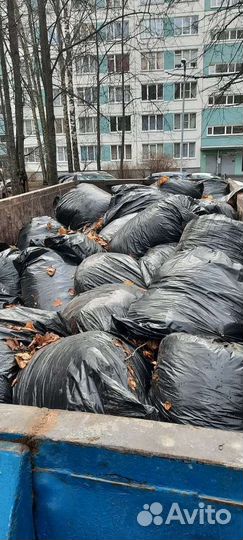 Вывоз строительного мусора