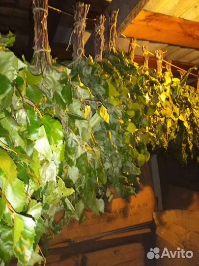 Веники березовые для бани