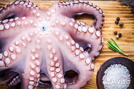 Морепродукты Осьминог Каракатица кальмар