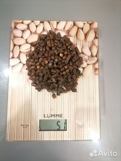 Перга пчелиная