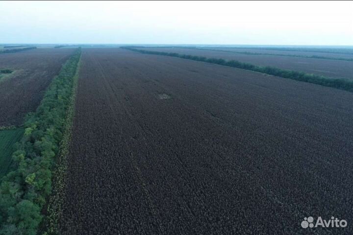 Обработка полей дронами