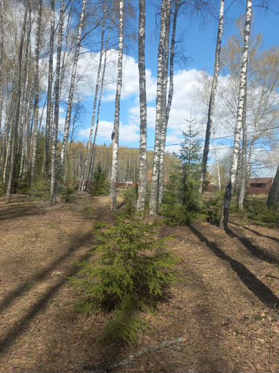 Участок 10 сот. (СНТ, ДНП)